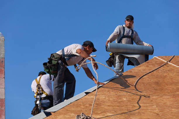Best Storm Damage Roof Repair  in South Gull Lake, MI