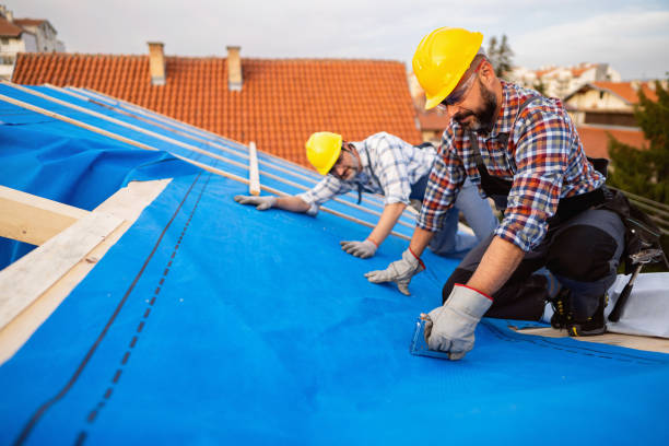 Best Residential Roofing Contractor  in South Gull Lake, MI