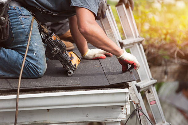 Best Local Roofing Companies  in South Gull Lake, MI